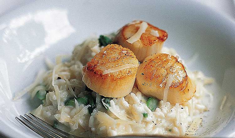 Diver scallops over risotto